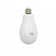 Лампа акумуляторна LED Lightwell LW-EMB-12W 12 Вт A60 E27 220 В 6500 К