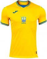 Футболка Joma FED. FUTBOL UKRAINE AT102404A907 р.S желтый