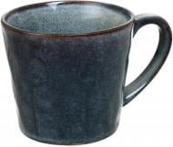 Чашка Fiora Nordic Blend 250 мл в ассортименте B00163-1