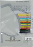 Бумага офисная Spectra Color A4 80 г/м Platinum 272 серый