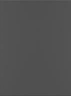 Фасад для кухни Грейд Графит глянец RAL7024 533x396 Топ модель