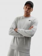 Свитшот 4F SWEATSHIRT M1181 / BLUZA M1181 4FWSS24TSWSM1181-27M р.2XL серый