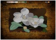 Полотно для вишивання бісером F-134 300х400 SvitArt