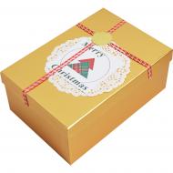 Коробка подарочная Gold "Merry Christmas" 21x14x8 см 1103464612