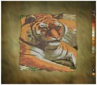 Полотно для вишивання бісером Si-434 300х400 SvitArt