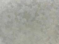 Шпалери вінілові на флізеліновій основі DINASTIA 806DN34 1,06x10,05 м