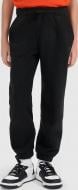 Брюки 4F TROUSERS CAS M1768 4FJWAW26TTROM1768-20S р. 134 черный