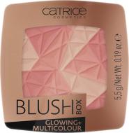 Палітра рум'ян Catrice Glowing + Multicolour 010