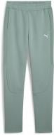 Штани Puma EVOSTRIPE Sweatpants DK op 68505130 р. M зелений