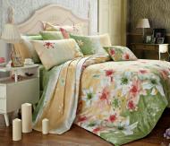 Комплект постельного белья 1,5 6276A-6277B разноцветный Zastelli