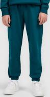 Брюки 4F TROUSERS CAS M1769 4FJWAW26TTROM1769-40S р. 158 зеленый