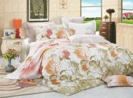 Комплект постельного белья 2,0 ZTHD2102-03 разноцветный Zastelli