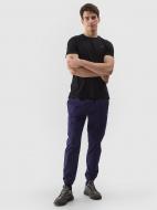 Брюки 4F TROUSERS CAS M646 / SPODNIE M646 4FWSS24TTROM646-31S р. 3XL синий Брюки 4F TROUSERS CAS M646 / SPODNIE M646 4FWSS24TTROM646-31S р. 3XL синий