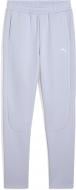 Брюки Puma EVOSTRIPE Sweatpants DK op 68505147 р. XL фиолетовый