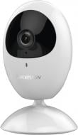 IP-камера Hikvision DS-2CV2U21FD-IW