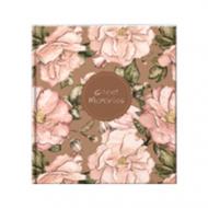 Фотоальбом UFO 10x15x200 Tenderness