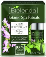 Крем для лица день-ночь Bielenda Botanic SPA Rituals Регенерирующий с куркумой и чиа 50 мл Крем для лица день-ночь Bielenda Botanic SPA Rituals Регенерирующий с куркумой и чиа 50 мл