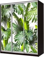 Шкаф-купе Сити24 Doros 2100x600x2400 мм венге двери стекло тропики