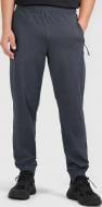 Брюки 4F TROUSERS FNK M1424 4FWAW26TFTRM1424-22M р. 3XL серый