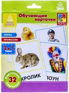 Карточки обучающие Vladi Toys Ферма и Профессии VT1301-03