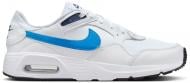 Кроссовки мужские демисезонные Nike AIR MAX SC CW4555-113 р.42,5 белые