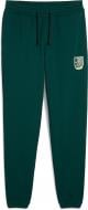 Брюки Puma SPORTS LEGACY Graphic Sweatpants TR cl 62963160 р. 2XL зеленый