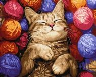 Картина за номерами Кіт у клубочках ©art_selena_ua Ideyka