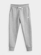 Брюки 4F HJZ21-JSPDD001A-27M р. 152 серый