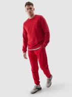 Брюки 4F TROUSERS CAS M603 / SPODNIE M603 4FWSS24TTROM603-61S р. L красный