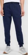 Брюки 4F TROUSERS CAS M1860 4FWMM00TTROM1860-31S р. XL синий