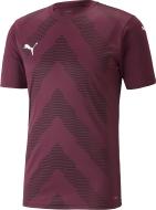 Футболка Puma TEAMGLORY JERSEY 70501724 р.S фиолетовый