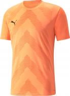 Футболка Puma TEAMGLORY JERSEY 70501721 р.M оранжевый