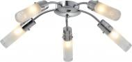 Светильник потолочный Accento lighting Camellia 5x40 Вт E14 хром ALPL-BL19230-5