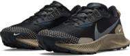 Кроссовки мужские Nike Pegasus Trail 3 DM6161-010 р.44 черные с коричневым