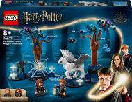 Конструктор LEGO Harry Potter Заборонений ліс: чарівні істоти 76432