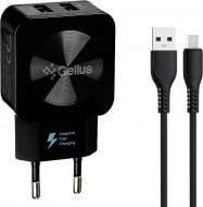Сетевое зарядное устройство Gelius Prime GU-HC02 2USB 2.1A 12W + кабель MicroUSB