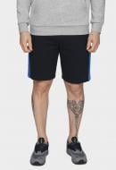 Шорты 4F D4L20-SKMD200-30S р. 2XL синий