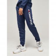 Брюки Tommy Hilfiger FLEECE HBR LOGO JOGGER S20S200189002 р. S черный