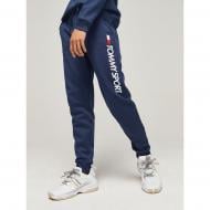 Брюки Tommy Hilfiger FLEECE HBR LOGO JOGGER S20S200189002 р. XL синий