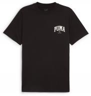 Футболка Puma PUMA SQUAD SMALL GRAPHIC TEE 68179201 р.S черный