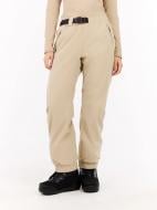 Брюки Protest Sami Ski trousers P44609000-567 р. S бежевый