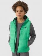 Жилет 4F VEST JACKET M083 / KAMIZELKA M083 4FJWSS24TVJAM083-41S р.158 зеленый Жилет 4F VEST JACKET M083 / KAMIZELKA M083 4FJWSS24TVJAM083-41S р.158 зеленый