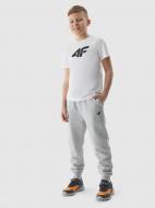Футболка 4F TSHIRT M1113 / TSHIRT M1113 4FJWSS24TTSHM1113-10S р.122 белый Футболка 4F TSHIRT M1113 / TSHIRT M1113 4FJWSS24TTSHM1113-10S р.122 белый