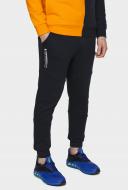 Брюки 4F D4L20-SPMD209-30S р. L серый