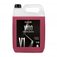 Засіб для миття двигуна концентрат Ekokemika Pro Line V100 1:14 5000 мл