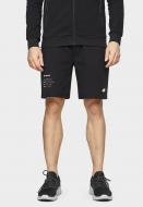 Шорти 4F D4L20-SKMD201-30S р. 2XL синій