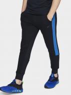 Брюки 4F D4L20-SPMD208-30S р. XL синий