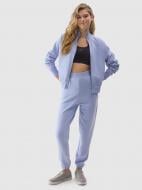 Брюки 4F TROUSERS CAS F666 / SPODNIE CAS F666 4FWSS24TTROF666-34S р. M фиолетовый