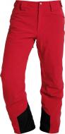 Брюки Salomon Icemania Pant M L39734100 р. M красный