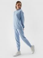 Брюки 4F TROUSERS CAS F606 / SPODNIE F606 4FWSS24TTROF606-34S р. 2XL голубой
